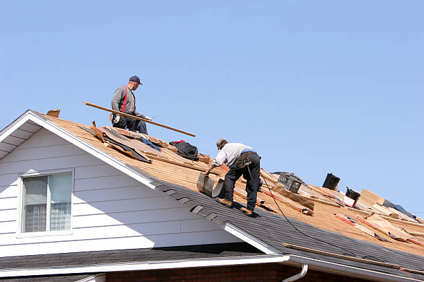 Best Roof Leak Repair  in Lemont, IL